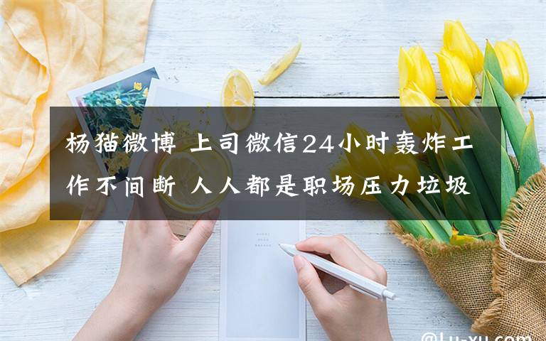 杨猫微博 上司微信24小时轰炸工作不间断 人人都是职场压力垃圾桶