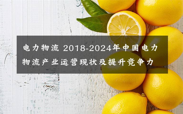 电力物流 2018-2024年中国电力物流产业运营现状及提升竞争力策略分析报告