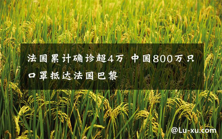 法国累计确诊超4万 中国800万只口罩抵达法国巴黎