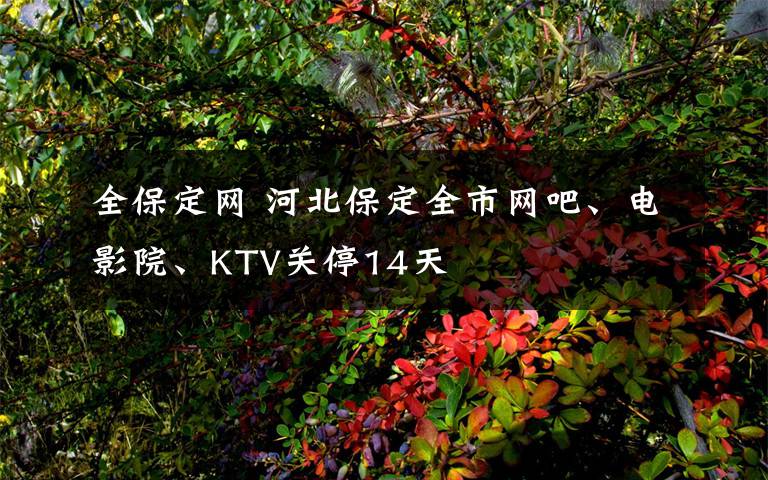 全保定网 河北保定全市网吧、电影院、KTV关停14天