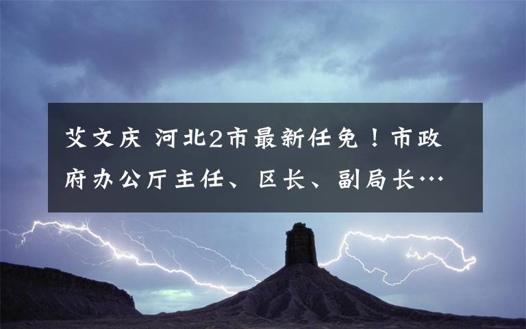 艾文庆 河北2市最新任免！市政府办公厅主任、区长、副局长…