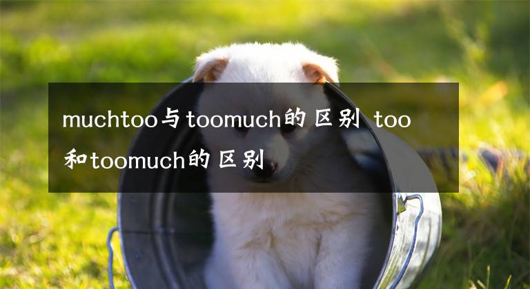 muchtoo与toomuch的区别 too和toomuch的区别