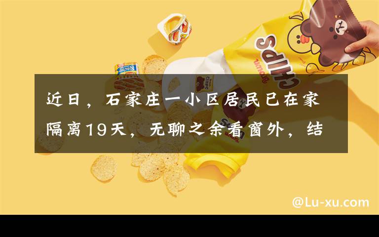 近日，石家庄一小区居民已在家隔离19天，无聊之余看窗外，结果无意间拍到楼下哭笑不得一幕。