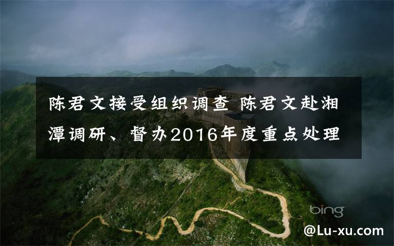 陈君文接受组织调查 陈君文赴湘潭调研、督办2016年度重点处理代表建议