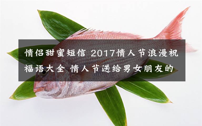 情侣甜蜜短信 2017情人节浪漫祝福语大全 情人节送给男女朋友的甜蜜短信汇总