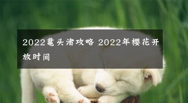 2022鼋头渚攻略 2022年樱花开放时间
