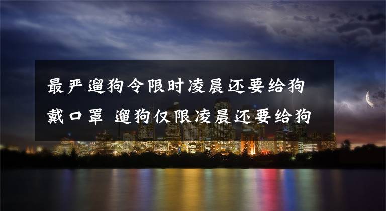 最严遛狗令限时凌晨还要给狗戴口罩 遛狗仅限凌晨还要给狗戴口罩吗