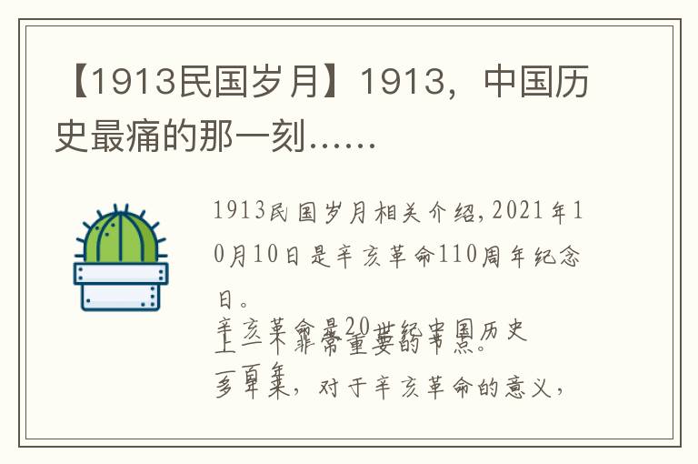 【1913民国岁月】1913，中国历史最痛的那一刻……