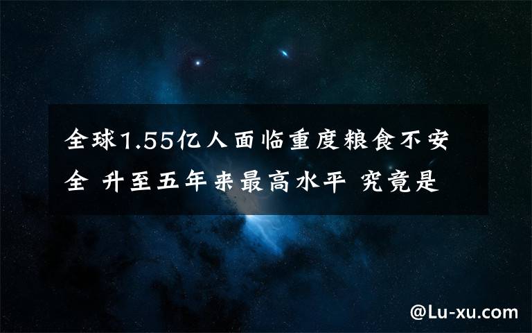 全球1.55亿人面临重度粮食不安全 升至五年来最高水平 究竟是怎么一回事?