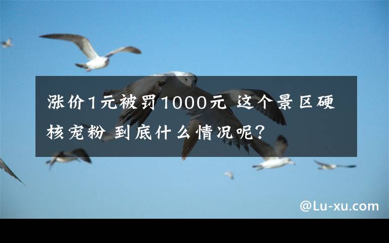 涨价1元被罚1000元 这个景区硬核宠粉 到底什么情况呢？