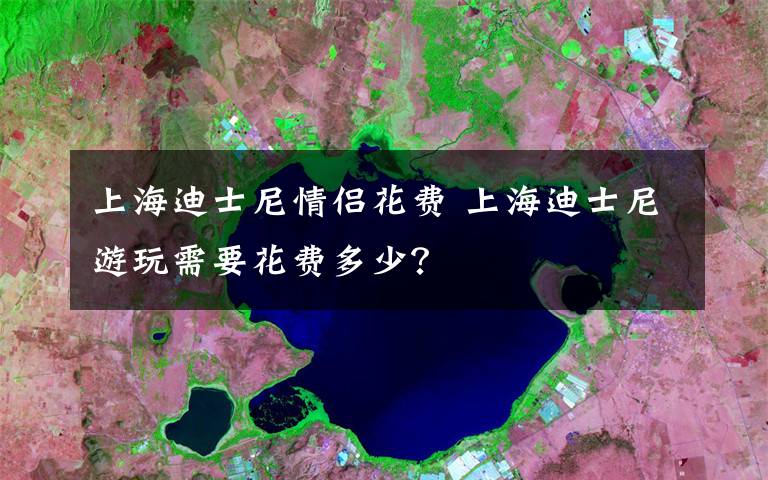 上海迪士尼情侣花费 上海迪士尼游玩需要花费多少？