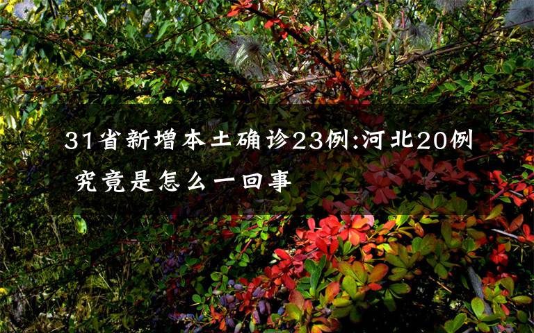 31省新增本土确诊23例:河北20例 究竟是怎么一回事