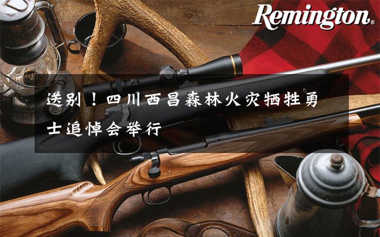 送别！四川西昌森林火灾牺牲勇士追悼会举行
