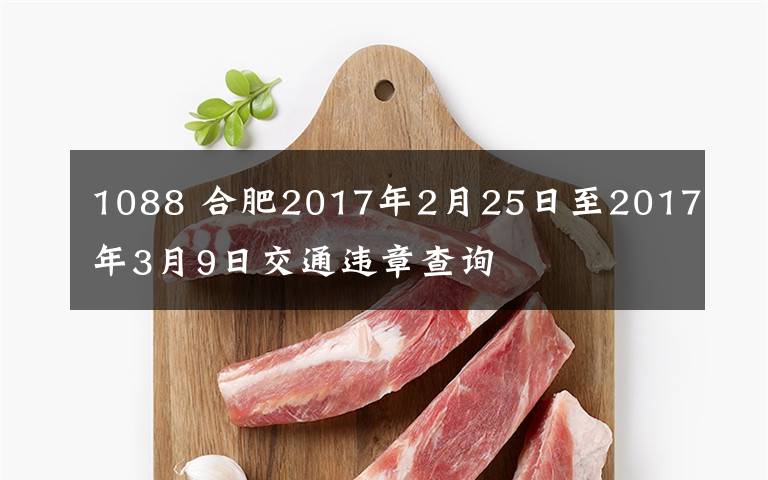 1088 合肥2017年2月25日至2017年3月9日交通违章查询