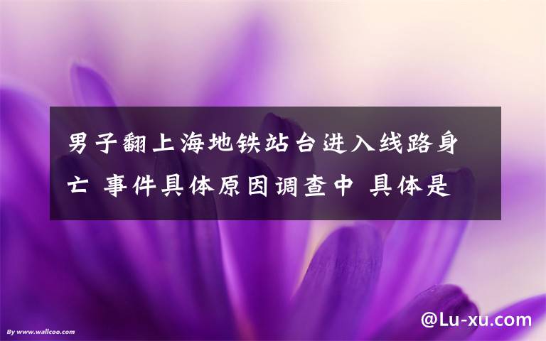 男子翻上海地铁站台进入线路身亡 事件具体原因调查中 具体是什么情况？