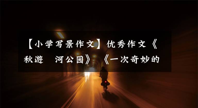 【小学写景作文】优秀作文《秋游洸河公园》 《一次奇妙的发现》 