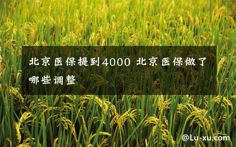 北京医保提到4000 北京医保做了哪些调整