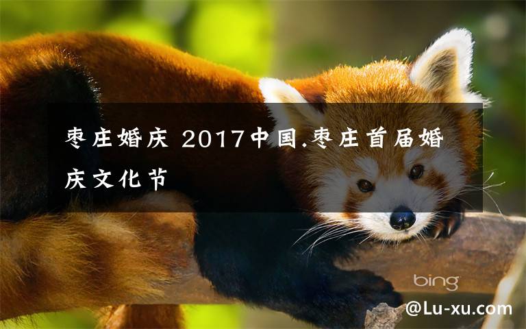 枣庄婚庆 2017中国.枣庄首届婚庆文化节