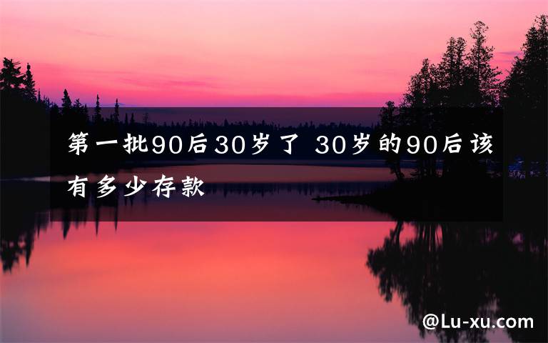 第一批90后30岁了 30岁的90后该有多少存款