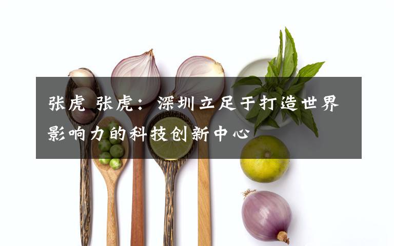 张虎 张虎：深圳立足于打造世界影响力的科技创新中心