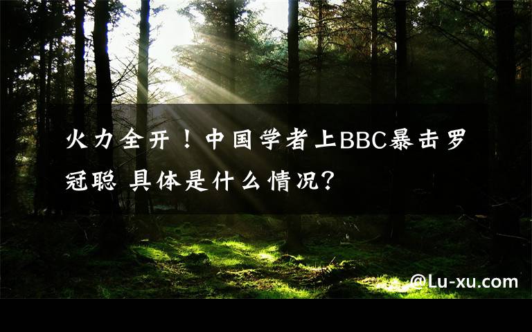 火力全开！中国学者上BBC暴击罗冠聪 具体是什么情况？