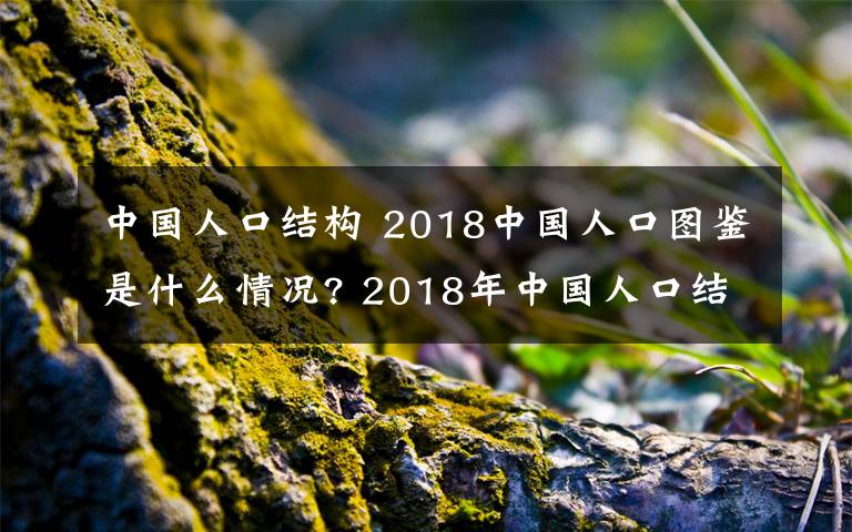 中国人口结构 2018中国人口图鉴是什么情况? 2018年中国人口结构图出炉