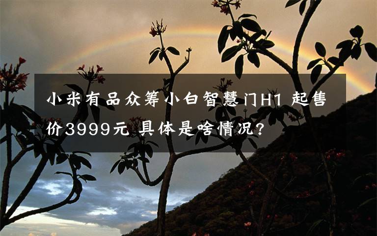 小米有品众筹小白智慧门H1 起售价3999元 具体是啥情况?