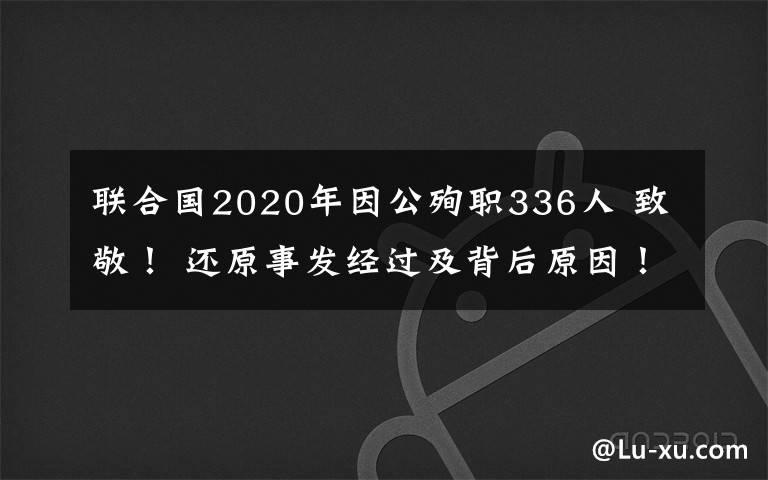 联合国2020年因公殉职336人 致敬！ 还原事发经过及背后原因！