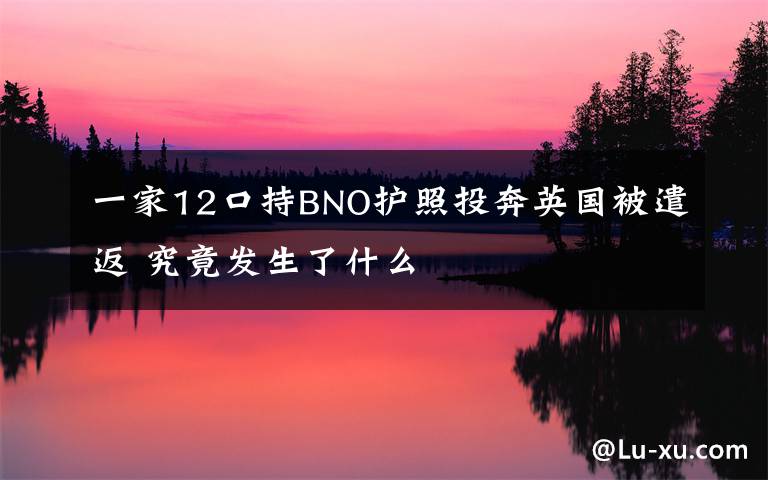 一家12口持BNO护照投奔英国被遣返 究竟发生了什么