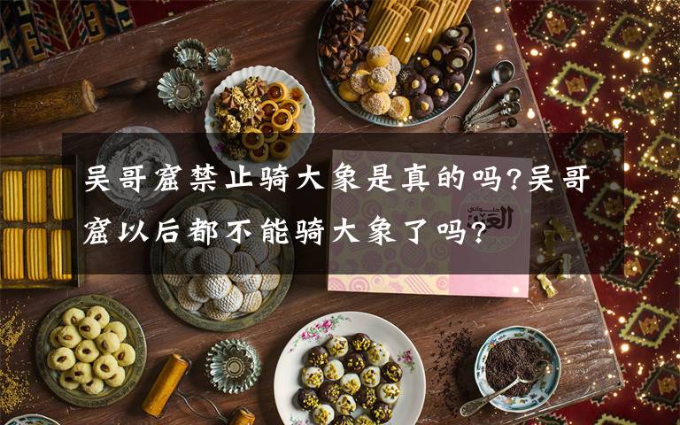 吴哥窟禁止骑大象是真的吗?吴哥窟以后都不能骑大象了吗?