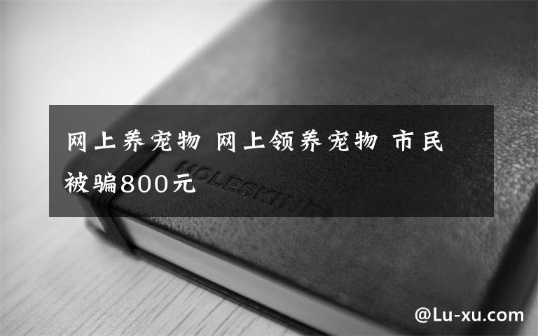 网上养宠物 网上领养宠物 市民被骗800元