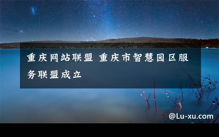 重庆网站联盟 重庆市智慧园区服务联盟成立