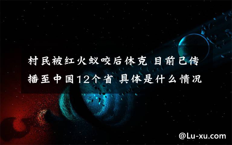 村民被红火蚁咬后休克 目前已传播至中国12个省 具体是什么情况？