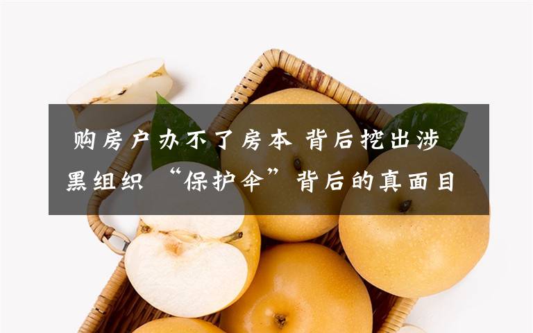  购房户办不了房本 背后挖出涉黑组织 “保护伞”背后的真面目