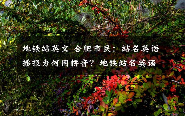 地铁站英文 合肥市民：站名英语播报为何用拼音？地铁站名英语播报没问题！