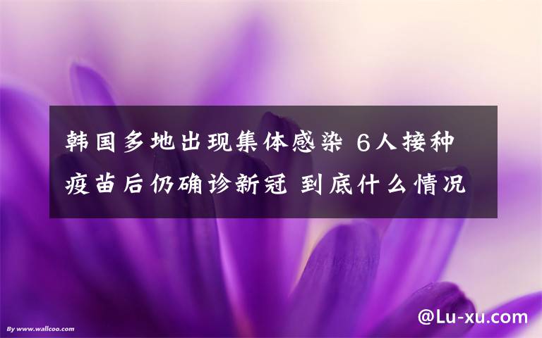 韩国多地出现集体感染 6人接种疫苗后仍确诊新冠 到底什么情况呢？