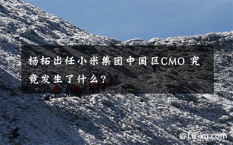 杨柘出任小米集团中国区CMO 究竟发生了什么?