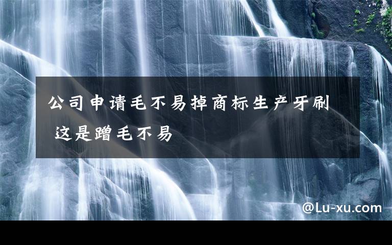 公司申请毛不易掉商标生产牙刷 这是蹭毛不易