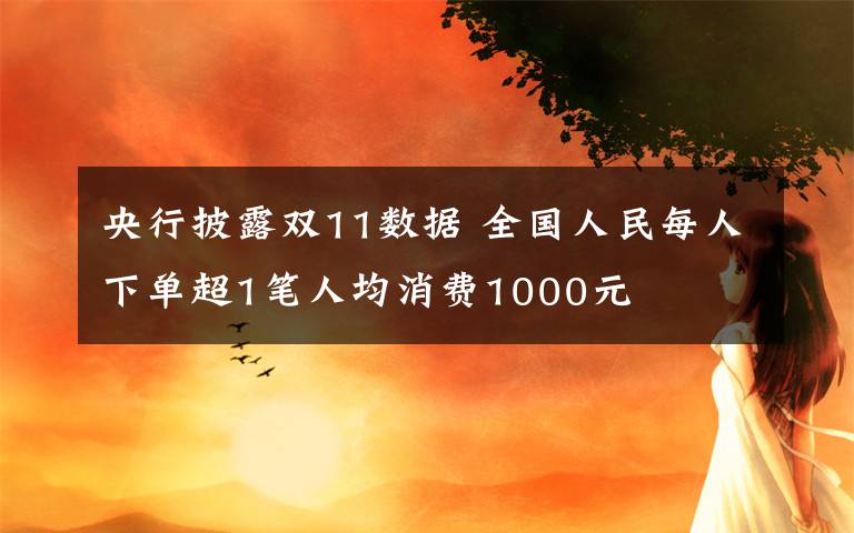 央行披露双11数据 全国人民每人下单超1笔人均消费1000元