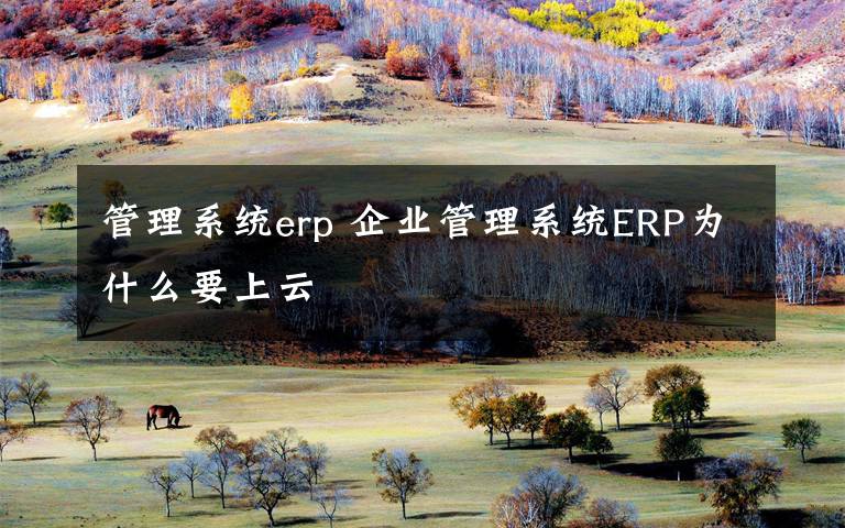 管理系统erp 企业管理系统ERP为什么要上云