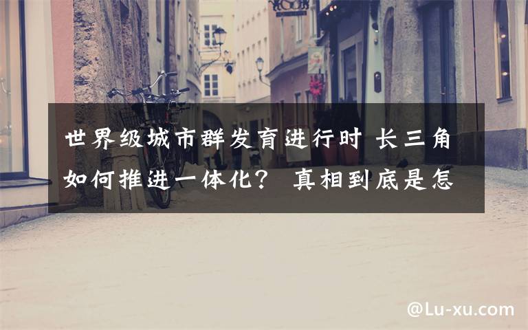 世界级城市群发育进行时 长三角如何推进一体化？ 真相到底是怎样的？