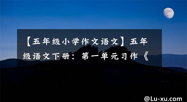 【五年级小学作文语文】五年级语文下册：第一单元习作《那一刻，我长大了》优秀范文6篇