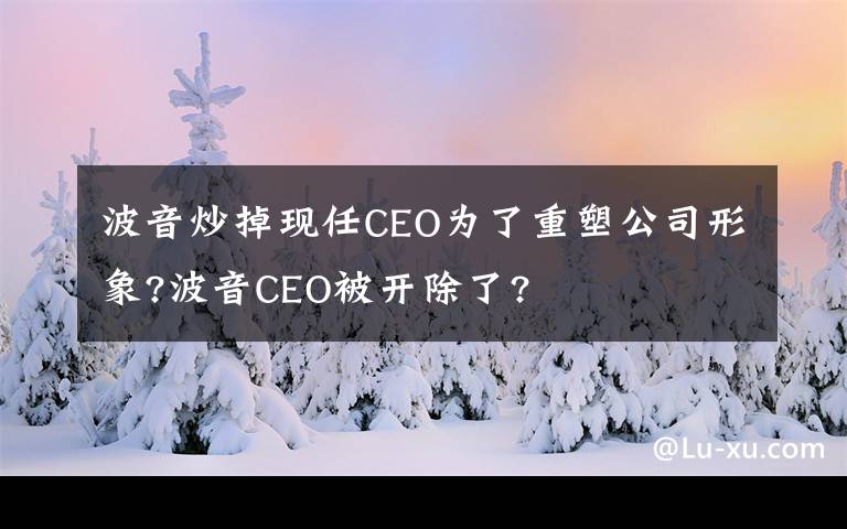 波音炒掉现任CEO为了重塑公司形象?波音CEO被开除了?