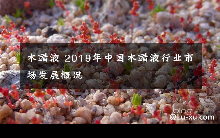木醋液 2019年中国木醋液行业市场发展概况
