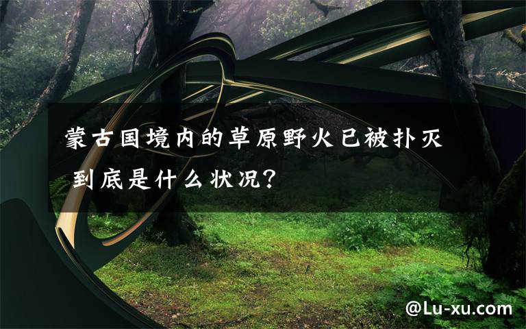 蒙古国境内的草原野火已被扑灭 到底是什么状况？