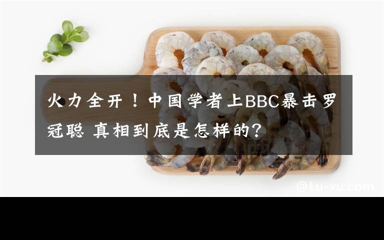 火力全开！中国学者上BBC暴击罗冠聪 真相到底是怎样的？