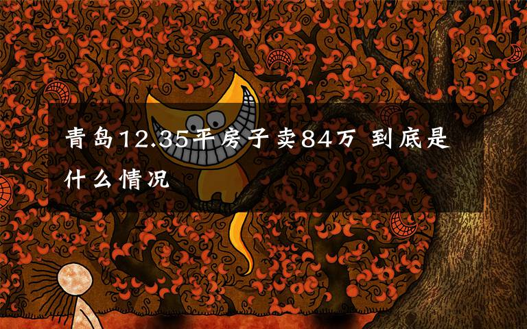 青岛12.35平房子卖84万 到底是什么情况