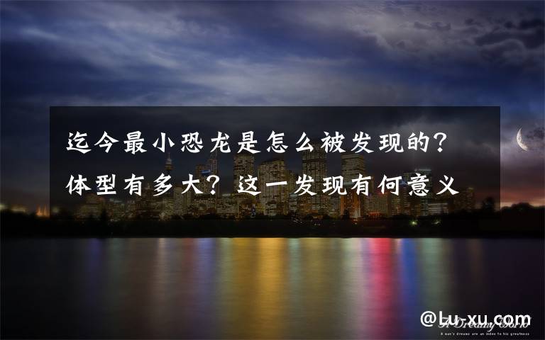 迄今最小恐龙是怎么被发现的？体型有多大？这一发现有何意义？