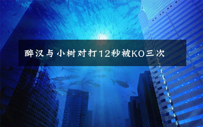 醉汉与小树对打12秒被KO三次