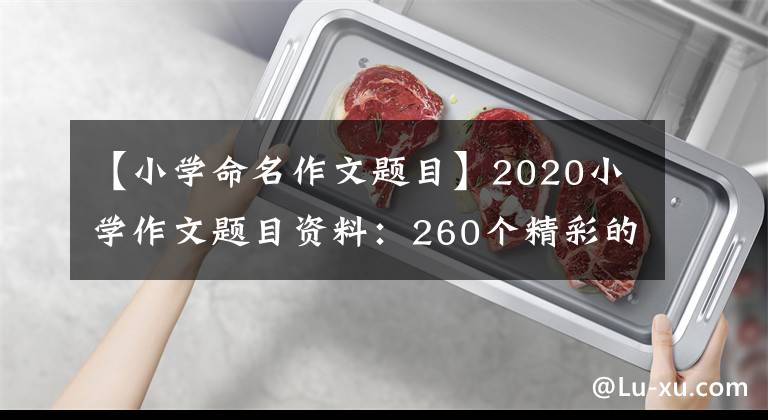 【小学命名作文题目】2020小学作文题目资料：260个精彩的作文题目